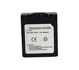 Panasonic CGA S002E/1B - Camera battery Li-Ion 680 mAh