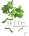 Seeds by Ken Robbins