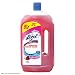Lizol Disinfectant Floor Cleaner Floral, 975 ml RS.129.00