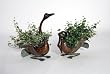 Artificial Ivy in Decorative Geese Planters - Set of 2