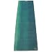 Aurorae Northern Lights Yoga Mat Well Golden Sun Focal Icon -SGS approved Free from Phthalates and Latex. Biodegradable, Wilderness (Green)