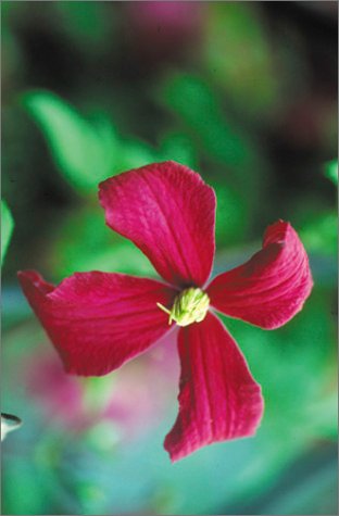 An Illustrated Encyclopedia of Clematis