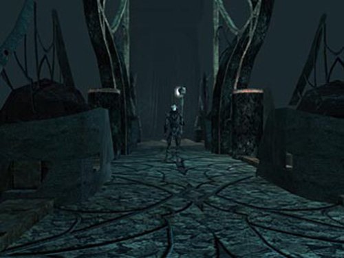 Neverwinter Nights: Hordes of the Underdark Expansion Pack image
