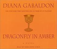 Dragonfly in Amber