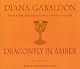 Dragonfly in Amber