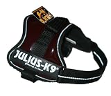 162PURPLE-M Julius K9� Powergeschirr - Gr��e Mini - Brustumfang: 48 - 60 cm / Gewicht: 7 - 15 Kg - Farbe: purple / dunkellila - Hundegeschirr Geschirr Einsatzgeschirr K-9