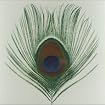 Homespun: The Apple Venus Volume One Home Demos