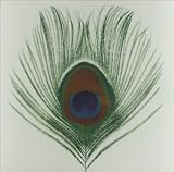 Homespun Lyrics, Xtc