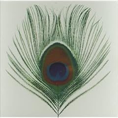 Homespun: The Apple Venus Volume One Home Demos [Limited Edition]
