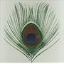 Homespun: The Apple Venus Volume One Home Demos [Limited Edition]