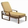 Clermont Adjustable Chaise Lounge with Cushion Finish: Mojave, Fabric: Cozumel- Nugget