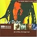 Rough Guide  - Lucky Dube