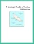 A Strategic Profile of Aruba, 2000 edition (Strategic Planning Series)