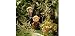 Calico Critters Mango Monkeys