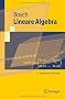 Lineare Algebra (Springer-Lehrbuch)