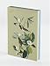 Pomegranate Audubon Birds Stationery Set (Pack of 2)
