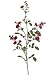 Faux 30 Pompon Rose Spray Melon (Pack of 12)