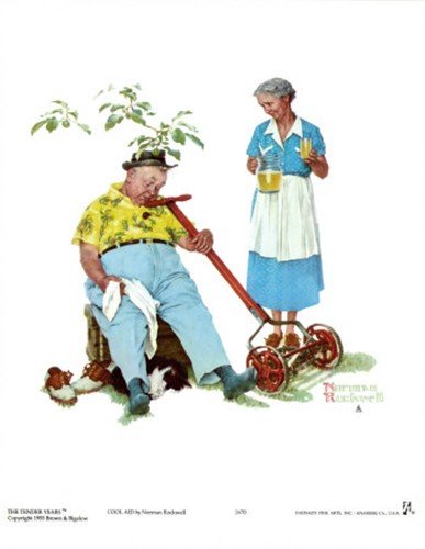 Cool Aid Art Poster PRINT Norman Rockwell 18x23