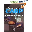 Diseases of Carp and Other Cyprinid Fishes (Fishing News Books) by David Hoole, David Bucke, Peter Burgess, and Ian Wellby