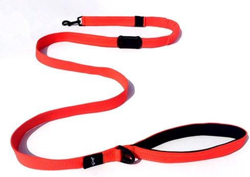Dog Leash, Pet Leash with Padded Handle, 6 Feet 1 Inch, Heavy Duty Strap, Perfect for Large or Medium Dog, Orange, HongToo