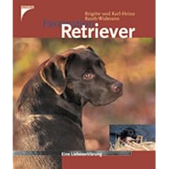 Faszination Retriever