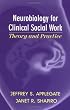 Neurobiology for Clinical Social Work: Theory and Practice