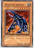 Hercules Beetle - Tournament Pack 1 - Common