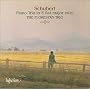 Schubert-Piano Trio in E flat