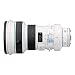 Canon EF 400mm f/4 DO IS USM Super Telephoto Lens for Canon SLR Cameras�