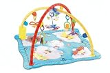 Fisher-Price Flutterbye Dreams Deluxe Gym
