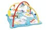 Fisher-Price Flutterbye Dreams Deluxe Gym