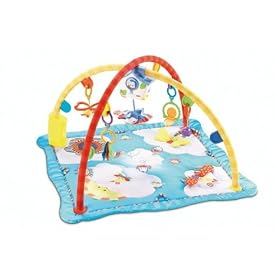 Fisher-Price Flutterbye Dreams Deluxe Gym by Gyms And Playmats