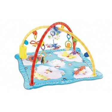 Fisher Price Flutterbye Dreams Deluxe Gym