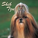 Shih Tzu 2008 Calendar - Dog Breed 2008 Calendars