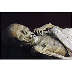 Poster 30 x 20 cm - "Mummy in Mummy Museum." von Douglas Steakley / Lonely Planet Images - auch in anderen Gr��en und als Leinwandbild erh�ltlich