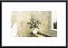 Indian Creek Bouquet, Art Poster by Philip Jamison, with Metal Frame, poster size: 9