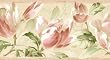 Salmon Tulip Wallpaper Border