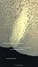 Book Envisioning Science: The Design and Craft of the Science Image
