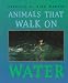 Books : Animals That Walk on Water (First Books - Animals)