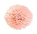 HEARTFEEL 6pcs 10 inch Tissue Paper Pom-poms Cream Mint Peach Outdoor Decoration Tissue Paper Pom Poms Party Balls Wedding Christmas Xmas Decoration