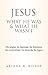 JESUS: WHAT HE WAS  & WHAT HE WASN'T at Amazon Books: 41GZb8KHTQL._SL75_