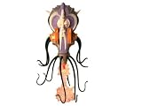 Quint-02 - Quintesson Scientist - Inquirata