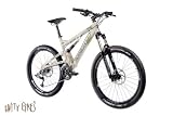 MOREWOOD - Shova ST limited 2008