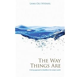 The Way Things Are: A Living Approach to Buddhism For Today's World (Buddhism (O Books))