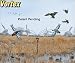 Hunting: Cabela's Vortex Rotating Spinning Wing System