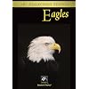 Eagles