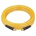 DEWALT DAP38100 100-Inch, 3/8-Inch diameter, polyurethane air hose with 1/4-Inch NPT male fittings.