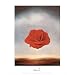 Professionally Framed Salvador Dali (Meditative Rose) Art Print Poster - 11x14 with RichAndFramous Black Wood Frame