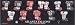 5X15 Nfl Atlanta Falcons Plaque