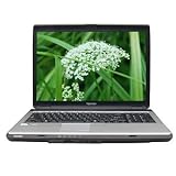 Toshiba Satellite L355-S7905 Laptop Intel Celeron 585 2.16GHz, 17â? TFT, 3 ....